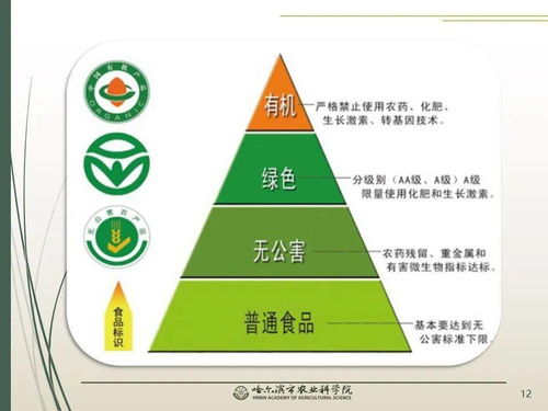 黨建引領(lǐng)科技賦能 智慧農(nóng)業(yè)繪就春耕新圖景