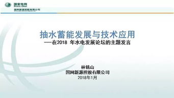 抽水蓄能發(fā)展及技術(shù)創(chuàng)新——基于國網(wǎng)新源林銘山專家報告的解讀
